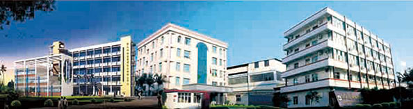 興業(yè)皮革科技股份有限公司在深交所成功上市（1992年，公司參股興業(yè)皮革廠，成為主要股東之一）。